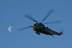 Sea King