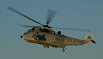 Sea King