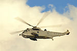 Sea King