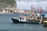 Salvage, NFLD